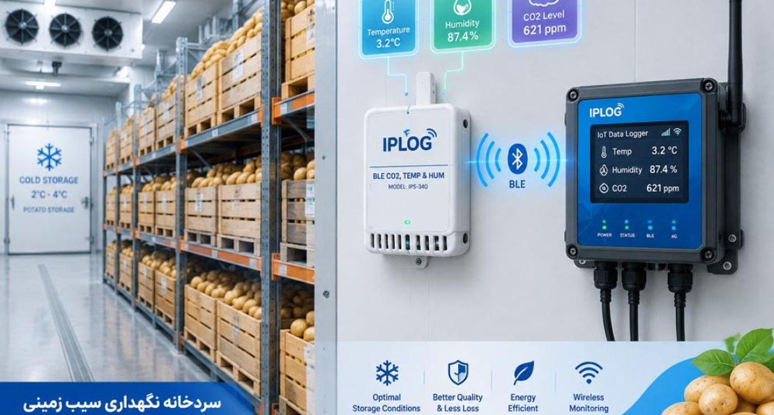 نگهداری سیب‌زمینی در سردخانه و پایش CO2 با سنسور IPS340